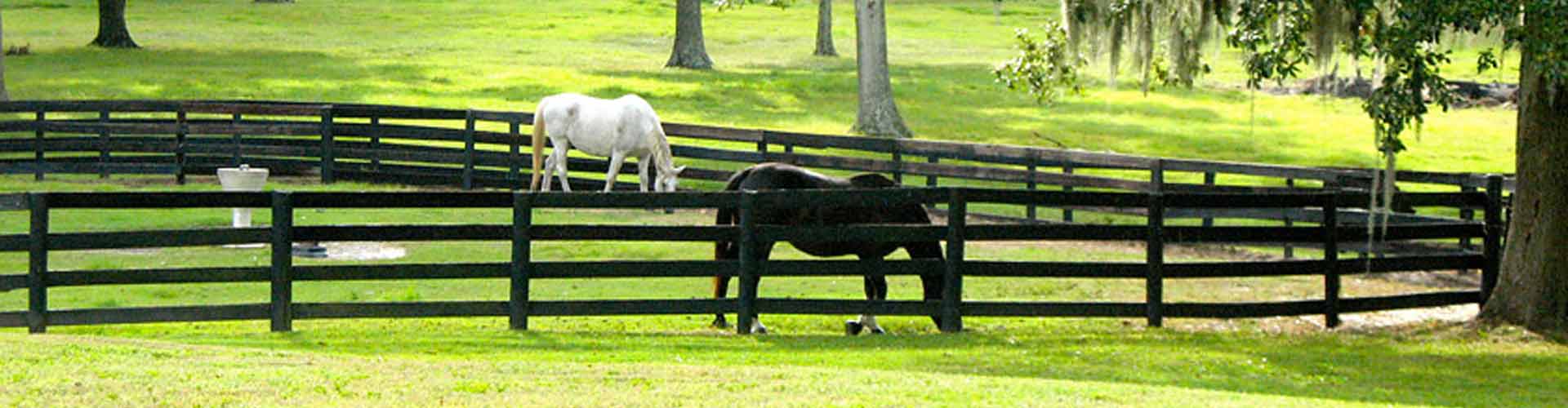 Ocala Florida Horse Farms